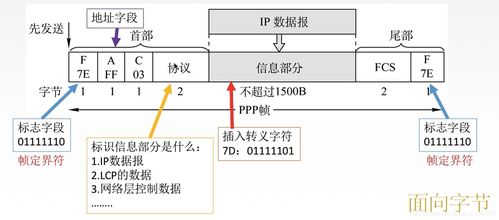 计算机网络工程施工中的链路层应用 局域网与广域网建设实战解析